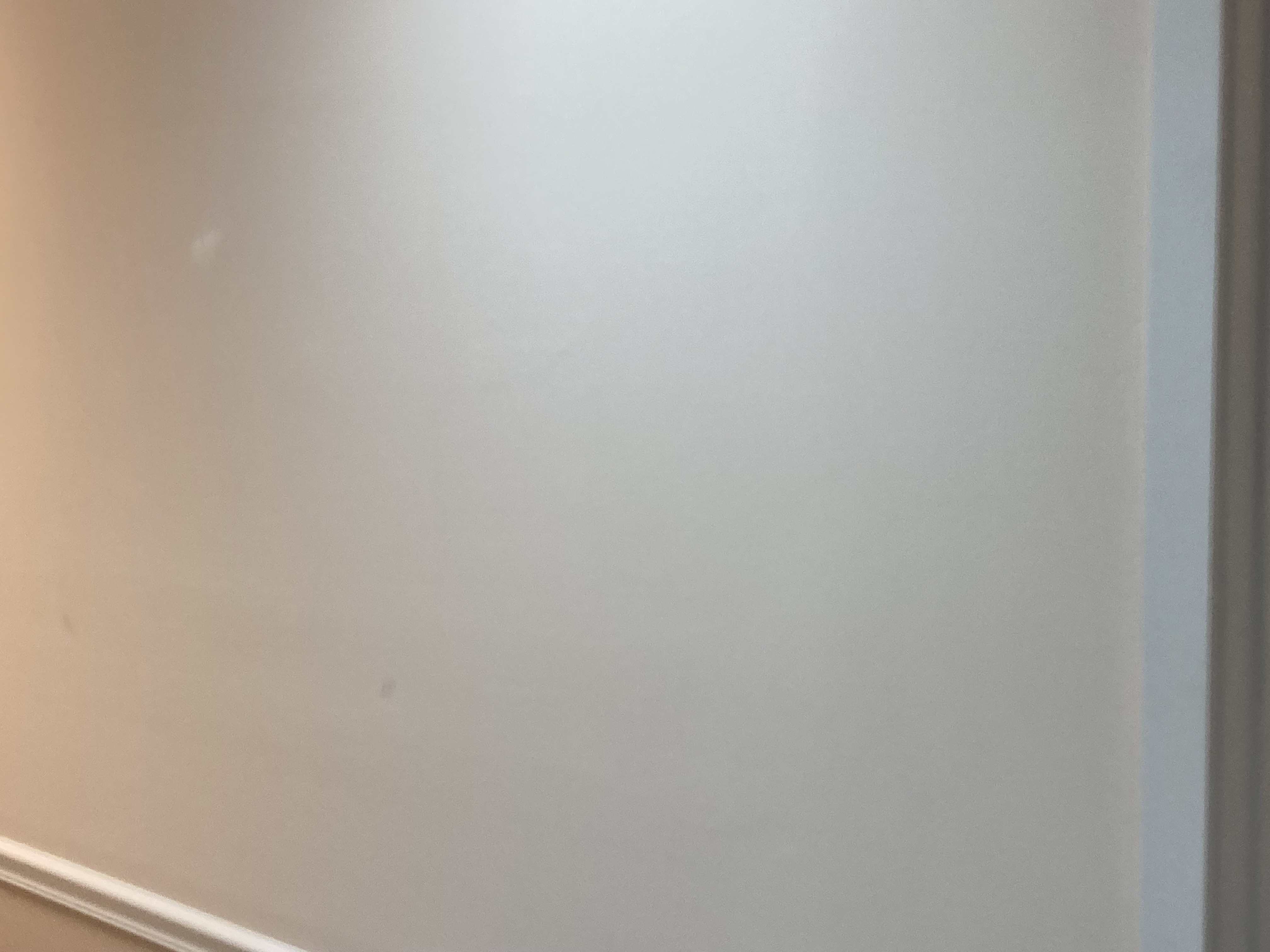 Office waiting room wall before pass-through window installation